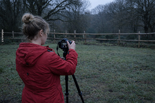 Elisa da giorni fotografa punti precisi del bosco del casale dei Gelsi
