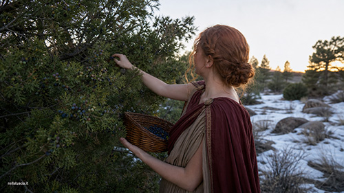 Ragazza della Roma imperiale raccoglie le bacche di ginepro