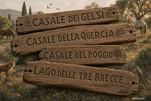 I luoghi dei poderi prendono un nome.